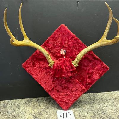 6 Point Buck Mount