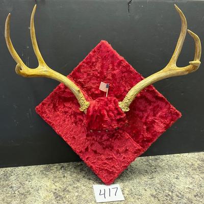 6 Point Buck Mount