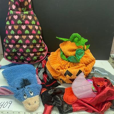 Small Dog Costumes and Coats