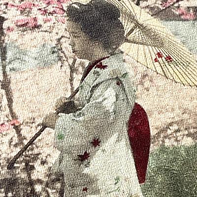 Antique Illustrations of Japanese Life 19th century