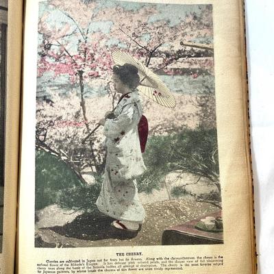Antique Illustrations of Japanese Life 19th century