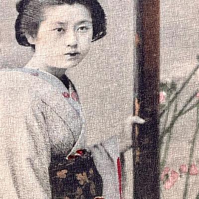 Antique Illustrations of Japanese Life 19th century