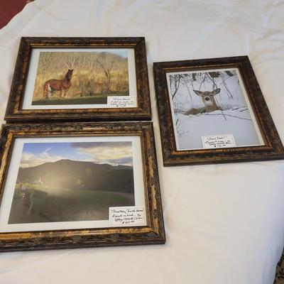 Three Pen Signed Photographs by Kathy Ozzard Chism (M-DW)