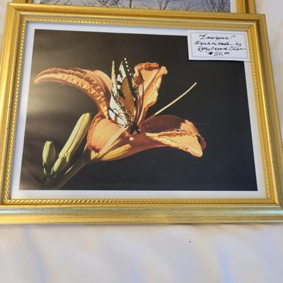 "Emergence" Signed Kathy Ozzard Chism Photograph and More (M-DW)