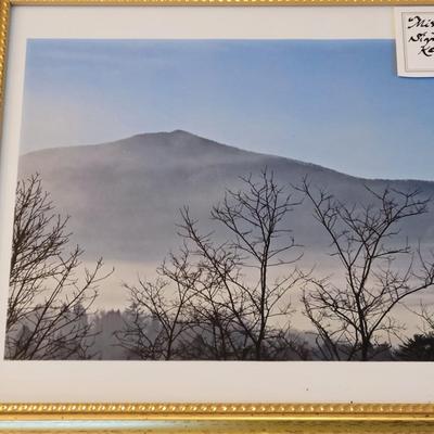 "Emergence" Signed Kathy Ozzard Chism Photograph and More (M-DW)