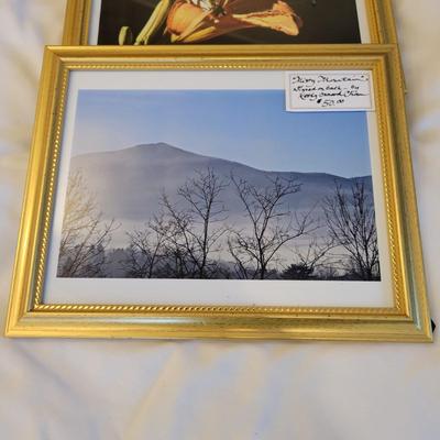 "Emergence" Signed Kathy Ozzard Chism Photograph and More (M-DW)