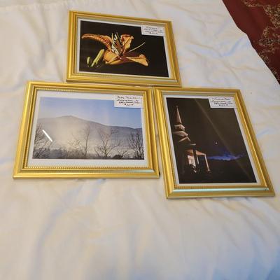 "Emergence" Signed Kathy Ozzard Chism Photograph and More (M-DW)