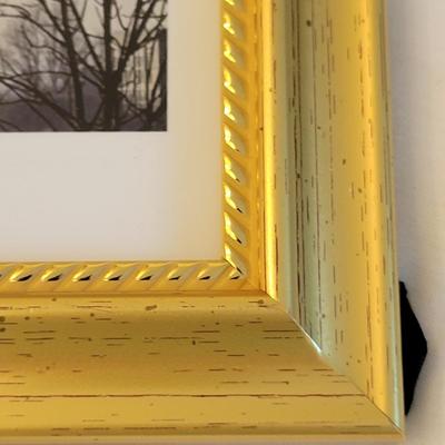 "Emergence" Signed Kathy Ozzard Chism Photograph and More (M-DW)