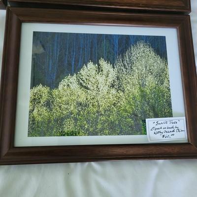 Four Framed and Signed Kathy Ozzard Chism Photographs (M-DW)
