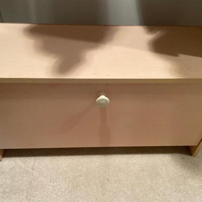 Shoe holder and small 2 drawer storage