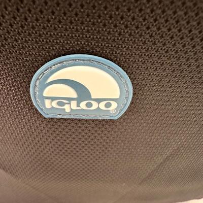 Variety of Igloo, Coleman and Polar Pack Coolers (K-KL)
