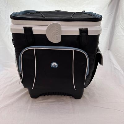 Variety of Igloo, Coleman and Polar Pack Coolers (K-KL)