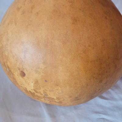 Decorative Dried Gourds (D-CE)