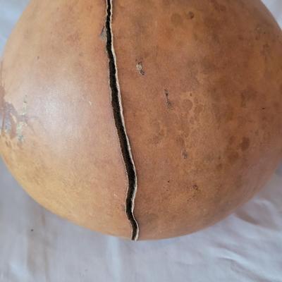 Decorative Dried Gourds (D-CE)