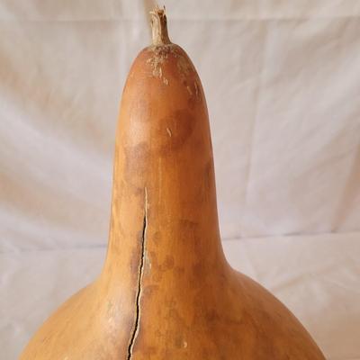 Decorative Dried Gourds (D-CE)