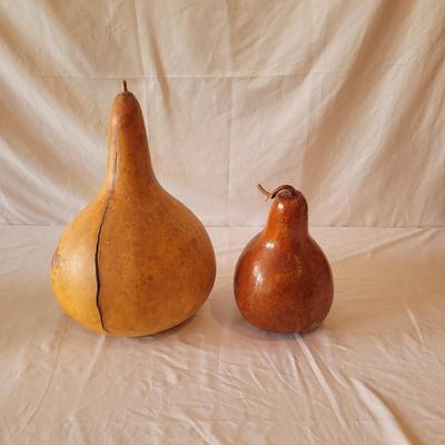 Decorative Dried Gourds (D-CE)