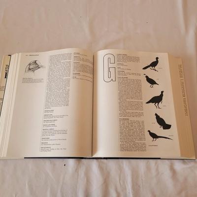 Binoculars, Bird Books and More (K-CE)