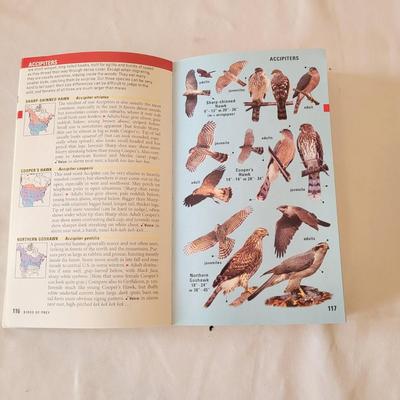 Binoculars, Bird Books and More (K-CE)