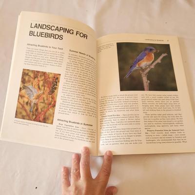 Binoculars, Bird Books and More (K-CE)