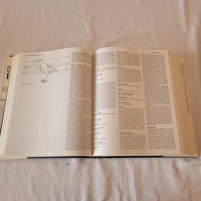 Binoculars, Bird Books and More (K-CE)