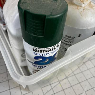 Tub Full of Garage Chemicals 