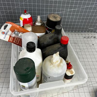 Tub Full of Garage Chemicals 
