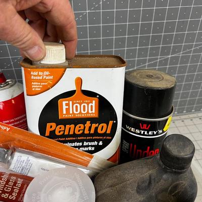 Tub Full of Garage Chemicals 