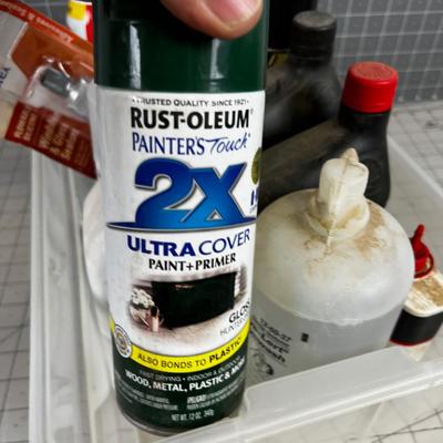 Tub Full of Garage Chemicals 