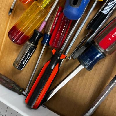 Tray of Screw Drivers 