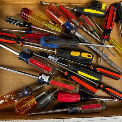 Tray of Screw Drivers 