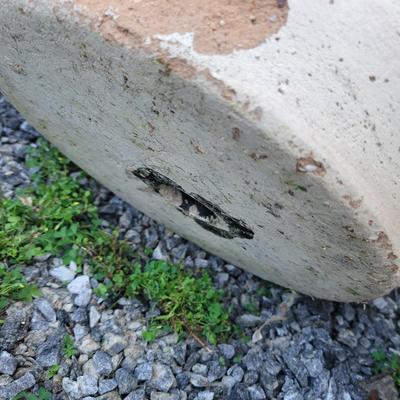 Assorted Planters and a Lion (P-DW)