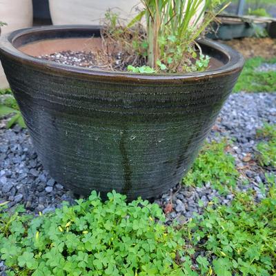 Assorted Planters and a Lion (P-DW)