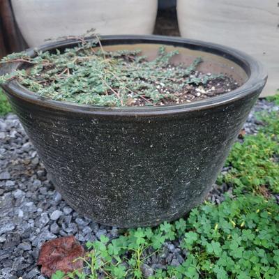 Assorted Planters and a Lion (P-DW)