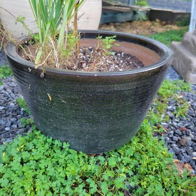 Assorted Planters and a Lion (P-DW)