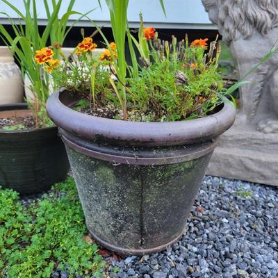 Assorted Planters and a Lion (P-DW)