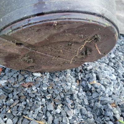 Assorted Planters and a Lion (P-DW)