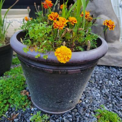 Assorted Planters and a Lion (P-DW)