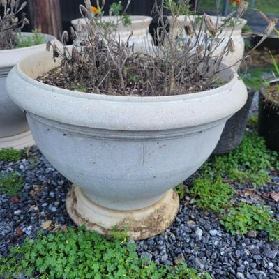 Assorted Planters and a Lion (P-DW)