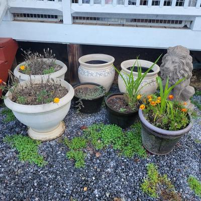 Assorted Planters and a Lion (P-DW)