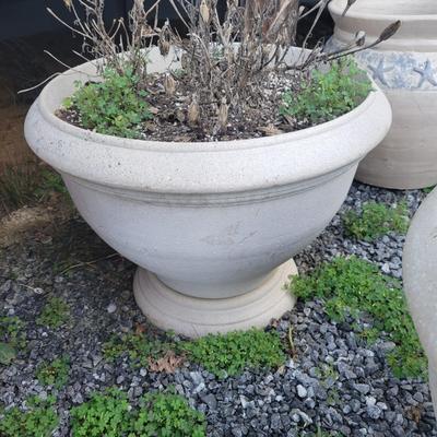 Assorted Planters and a Lion (P-DW)