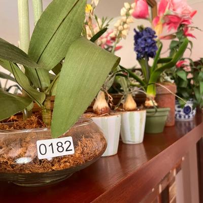 Lot Decorative Potted Dried Flowers