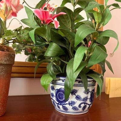 Lot Decorative Potted Dried Flowers