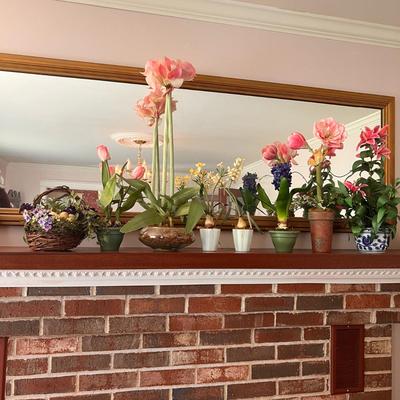 Lot Decorative Potted Dried Flowers