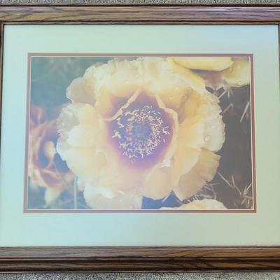 #53: Framed Flower Photograph