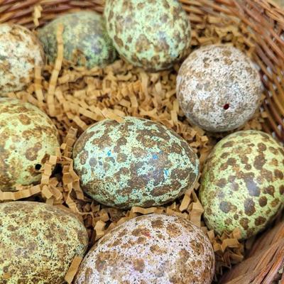 #74: Spotted Eggs in a Basket and Bunny Deco