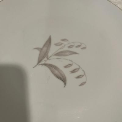 Second lot of dinner plates Kaysons