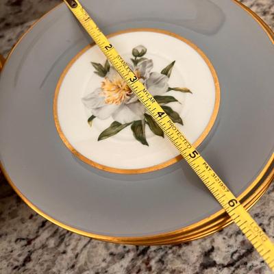 Vintage 28 Pc. Princess China Tru-Tone Golden Peony