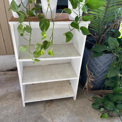 Shelf