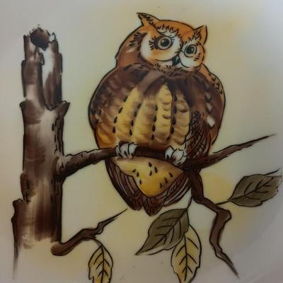 Two Norcrest marked 8" Collectible Owl plates