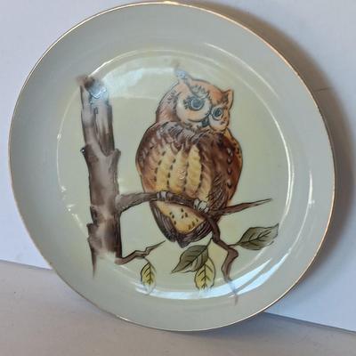 Two Norcrest marked 8" Collectible Owl plates